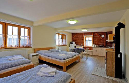 Abertamy Apartment | Apartments Pavel