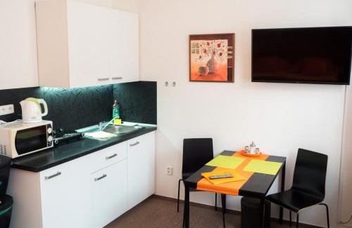 Trebon Apartment | Apartments Radka