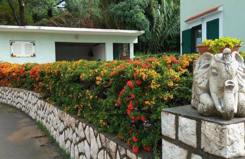 Lopar Apartment | Apartments Ruzica Musco, Green Apartment