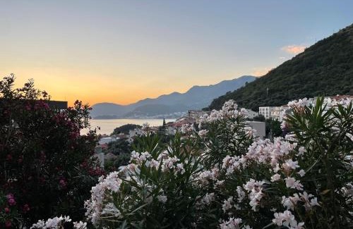 Sveti Stefan Apartment | Apartments Sana