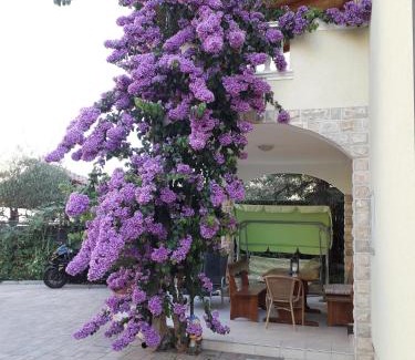 Vodice Apartment | Apartments Vesna Vodice