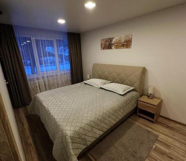 Panevezys Apartment | Apartments Victoria