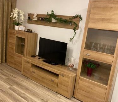 Panevezys Apartment | Apartments Victoria