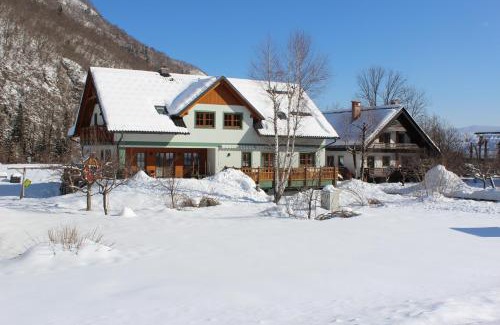 Polje Apartment | Apartments Villa Dov