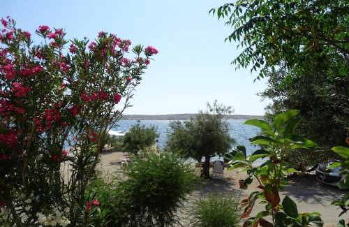 Kustici Apartment | Apartments Vivien