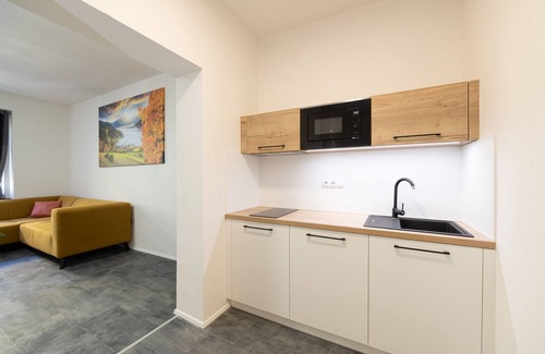 Pilsen House | Apartsee Wellness Plzeň