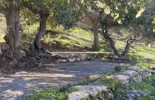 Neo Chorio RV Rental | Aphrodite Family Eco Camping