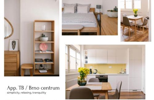 Brno-stred Apartment | App. TB/Brno centrum