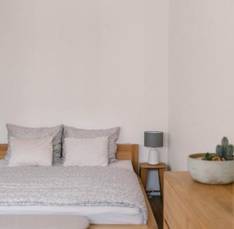 Brno-stred Apartment | App. TB/Brno centrum