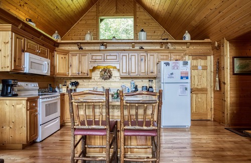 Black Bear Falls Cabin | Appalachian Adventure - 4 Bedroom sleeps 14!