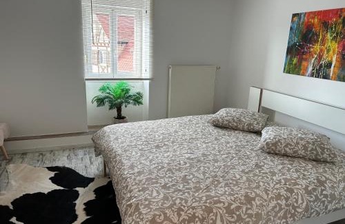 Niederschaeffolsheim Apartment | Appart Chez willi