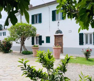Castiglione della Pescaia Apartment | Appartamenti Podere San Sebastiano