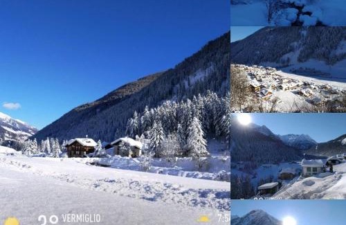 Fraviano Apartment | Appartamenti Presanella