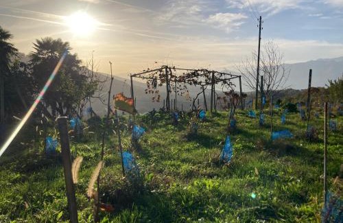 Monteggio Apartment | Appartamento di vacanza tra i vigneti