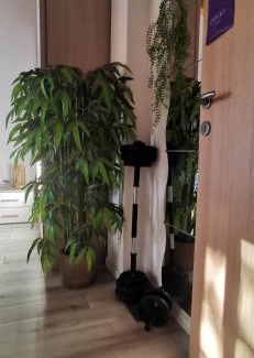 Codogne Apartment | Appartamento DIEGO