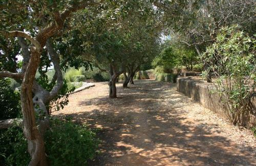 Porto Tricase Apartment | Appartamento in Villa Fortunata TERRA