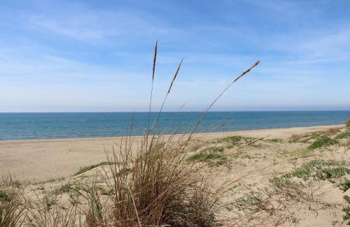 Quartiere XXXIV Lido di Ostia Levante Apartment | Appartamento Lungomare Toscanelli
