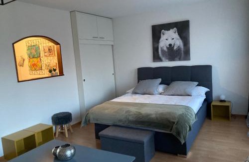 Fribourg Apartment | Appartement 1,5 pces