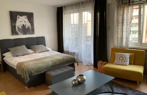 Fribourg Apartment | Appartement 1,5 pces