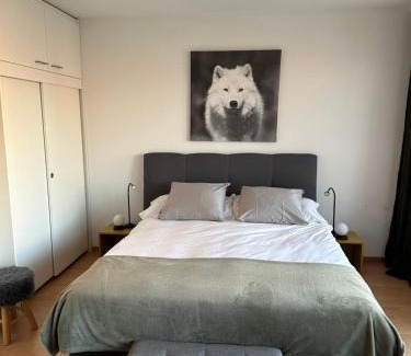 Fribourg Apartment | Appartement 1,5 pces