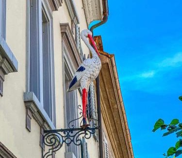 Porrentruy Apartment | Appartement 40 m2