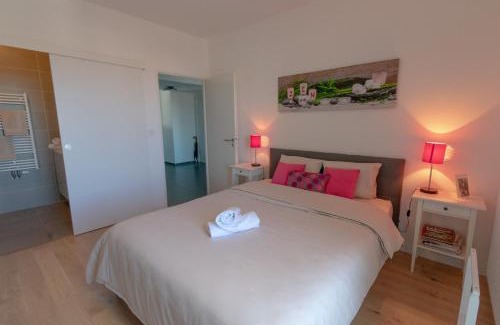 Ile de Nantes Palais des Congres Apartment | Appartement 90m2-Roof Top privé 100m2-Parking privé-Clim mobile
