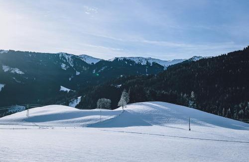 Leogang Apartment | Appartement Adamhof Spielberg Leogang