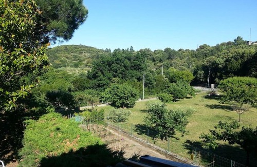 Saint-Jean-du-Pin Apartment | Appartement au fond du jardin