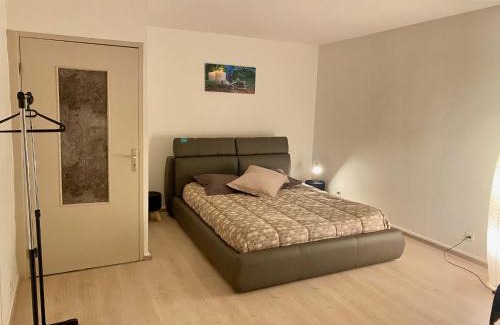 Schirmeck Apartment | Appartement « Chez Falco » vue sur le château