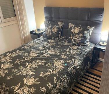 Brive-la-Gaillarde Apartment | Appartement complet centre ville