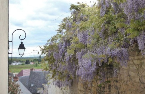 Nevers Apartment | Appartement Douillet et Confortable Très Bien Situé Dans le Quartier Historique