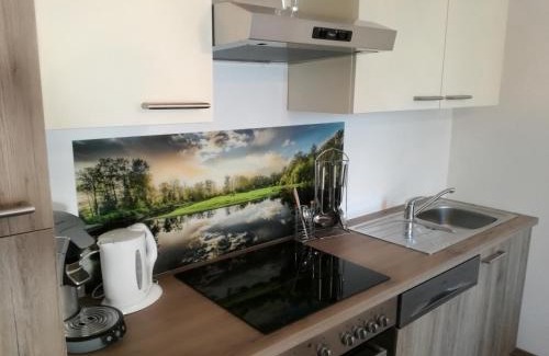 Sollenau House | Appartement Ferienhaus Sonnenhain