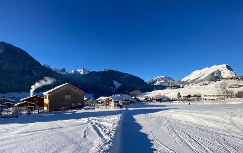 Schoppernau Apartment | Appartement Holderstauden