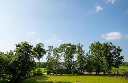 Hornsterzwaag Bed & Breakfast | Appartement Hoornsterzwaag, landelijk gelegen