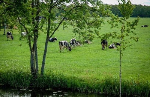 Hornsterzwaag Bed & Breakfast | Appartement Hoornsterzwaag, landelijk gelegen
