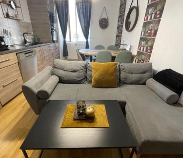 Semur-en-Auxois Apartment | Appartement moderne centre ville, 5 personnes, 65 m2