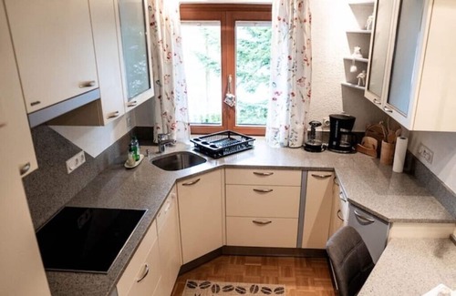 Dorfgastein Apartment | Appartement Mountainrelax Gastein