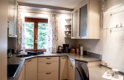Dorfgastein Apartment | Appartement Mountainrelax Gastein