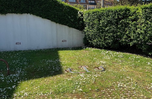 Villers-sur-Mer Apartment | Appartement Neuf Beautiful Villers 1-4 Pers/parking Privé et à 200 m de la Plage