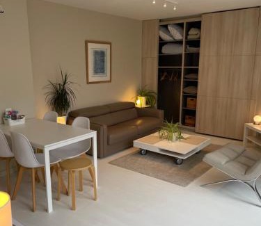 Old Lille Apartment | Appartement ,superbe terrasse 40m2 , vieux Lille , centre ville