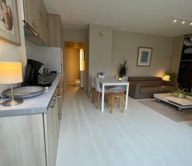 Old Lille Apartment | Appartement ,superbe terrasse 40m2 , vieux Lille , centre ville