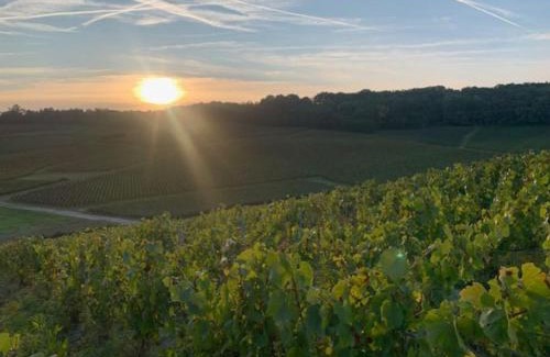 Sezanne Apartment | Appartement sur la route touristique du champagne