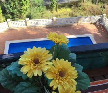 Sant Pere de Ribes Apartment | Appartement tranquille idéal couple ou famille 2 adultes 2 enfants