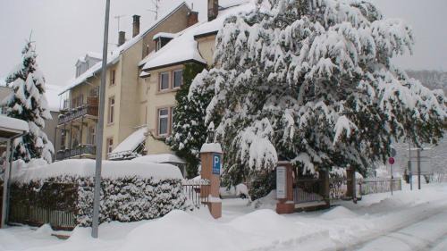Baden-Baden Apartment | Appartements am Festspielhaus Appartementhaus Dr Vetter