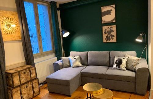 Colmar Centre Ville Apartment | Appartements des 2 Têtes