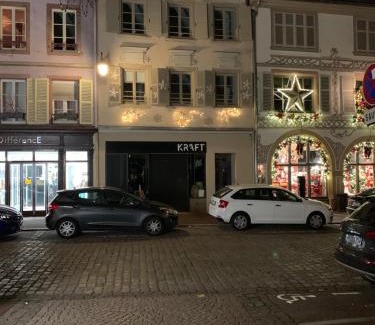Colmar Centre Ville Apartment | Appartements des 2 Têtes