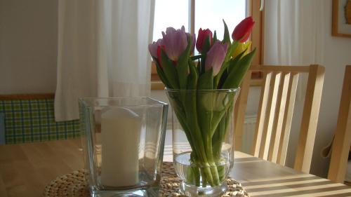 Ramsau am Dachstein Apartment | Appartements Jägerrast