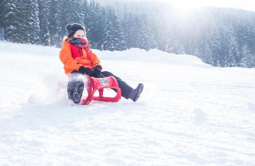 Hinterzarten Apartment | Appartements Waldrose
