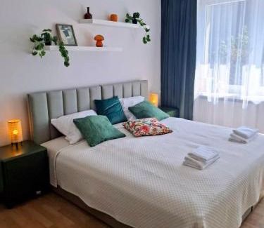 Srodmiescie House | Apple Inn