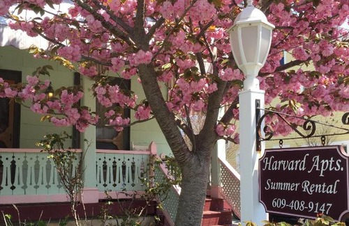 Cape May Apartment | Apt#3 4 bedroom 2 bath, sleeps 10, walk to Beach, Mall, Parking available